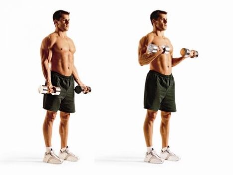 lifting the biceps for weight loss